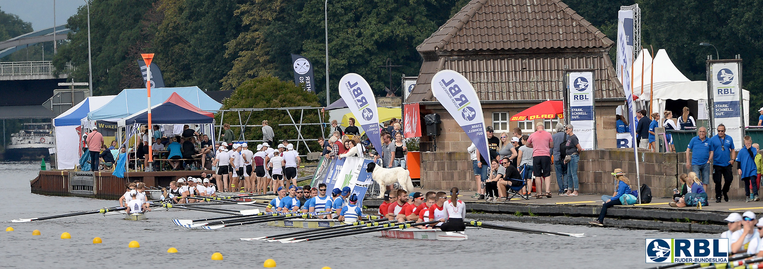 Dateiname: DSC_6571 - Foto © Maren Derlien/Ruder-Bundesliga