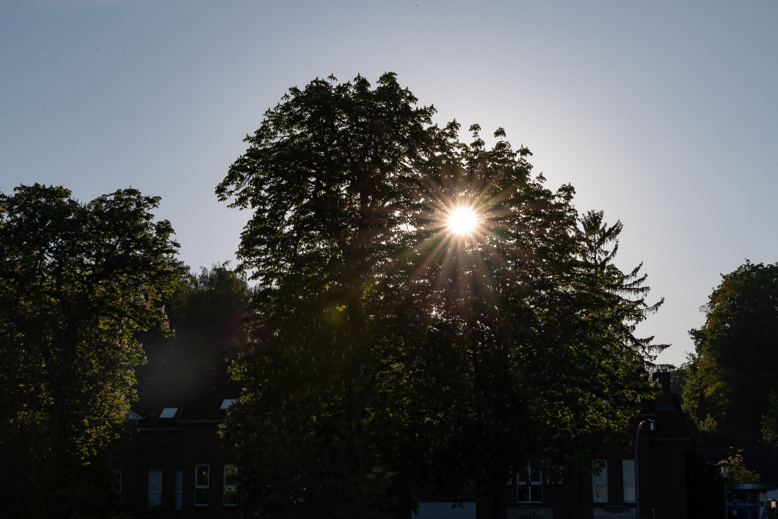 Dateiname: _D543733 - Foto © Jonas Mehnert